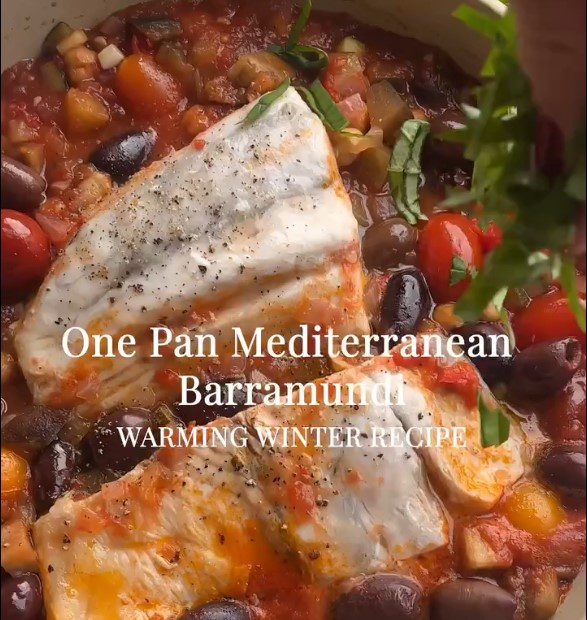 Mediterranean Barramundi
