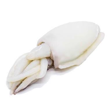 CUTTLEFISH WHOLE CLEANED