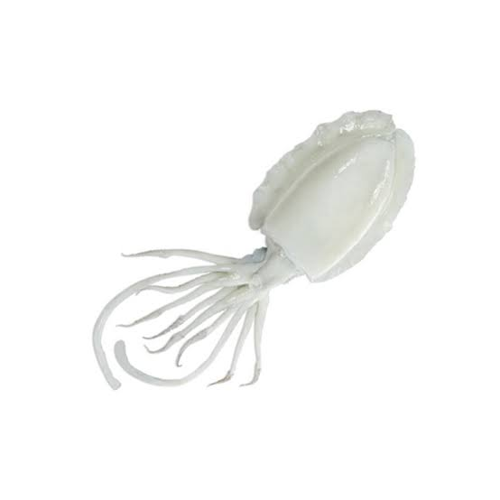 CUTTLEFISH FILLET