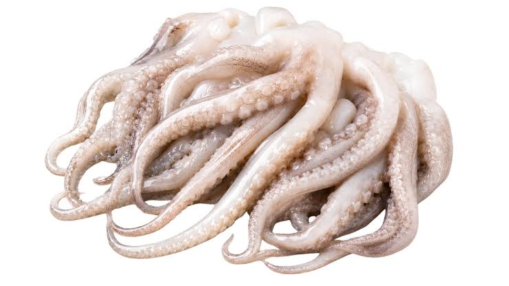 CUTTLEFISH TENTACLES