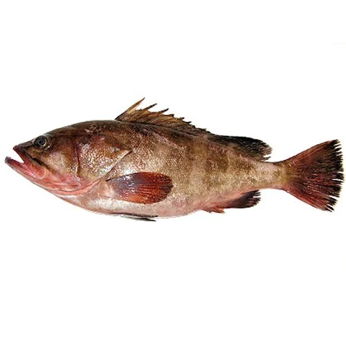 REEFCOD