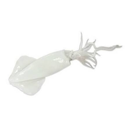 SQUID WHOLE CLEANED