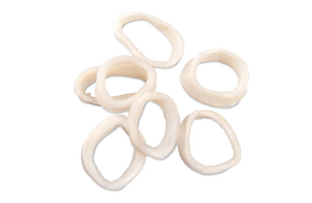 SQUID RINGS 