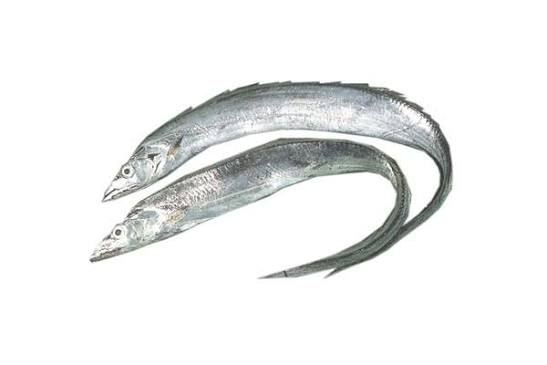 TACHIUO