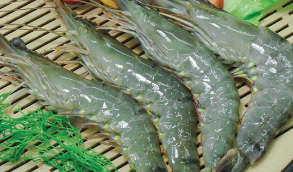 RAW HOSO BLACK TIGER SHRIMP