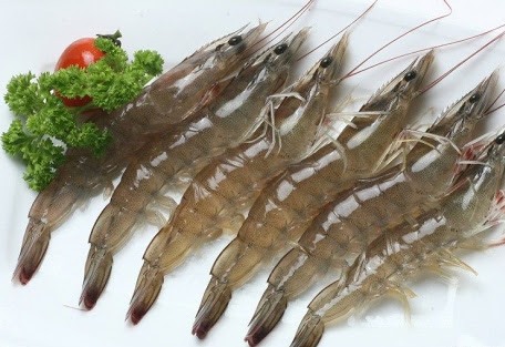 RAW HOSO VANNAMEI SHRIMP