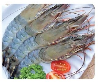 RAW HOSO BODY PEELED BLACK TIGER SHRIMP