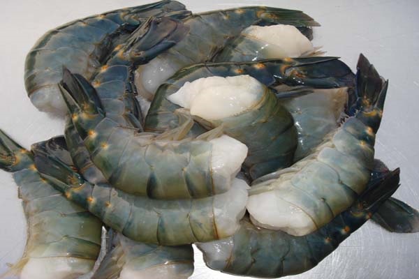 RAW HLSO FRESH WATER SCAMPI