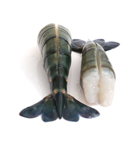 RAW HLSO EASY PEELED FRESH WATER SCAMPI