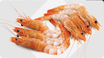 COOKED HOSO BODY PEELED BLACK TIGER SHRIMP