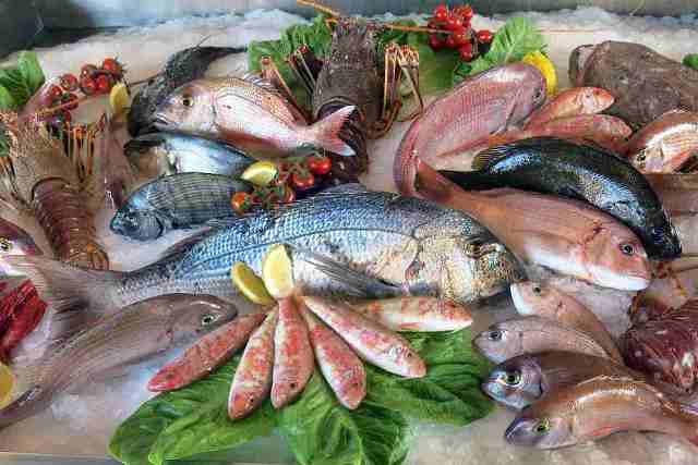 Fresh Barramundi Fillet